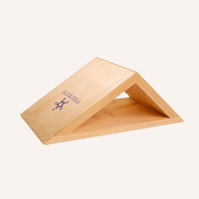 Triangle Yoga Block